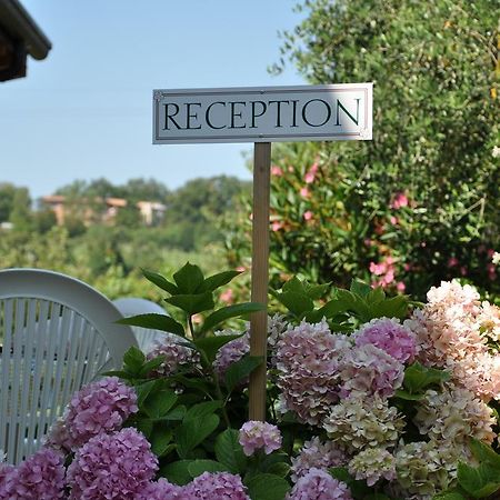 Agriturismo Ai Ciliegi Бардолино Экстерьер фото