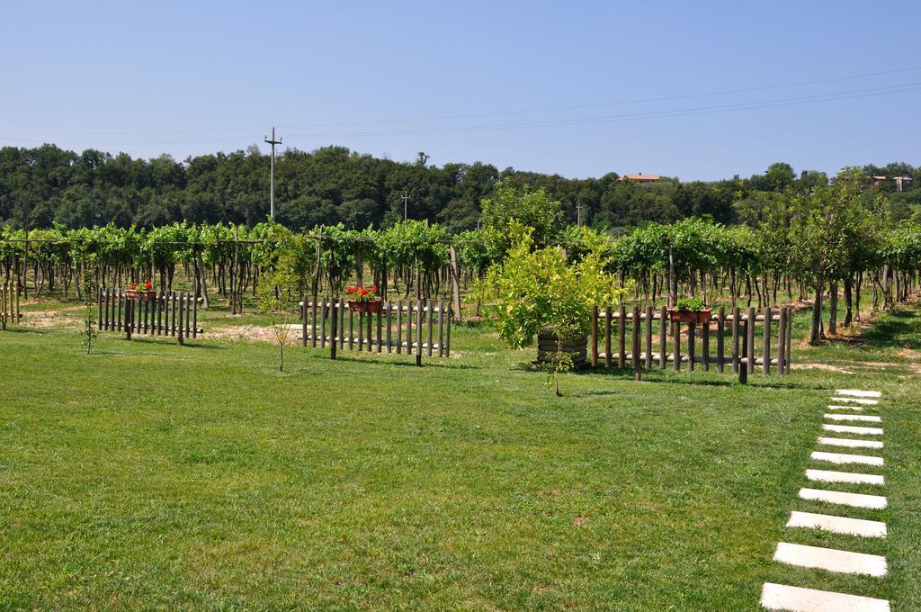 Agriturismo Ai Ciliegi Бардолино Экстерьер фото
